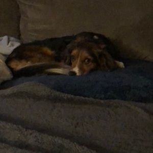 Meet your Posher, Vanessa